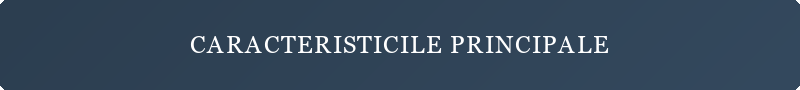 Caracteristicile principale
